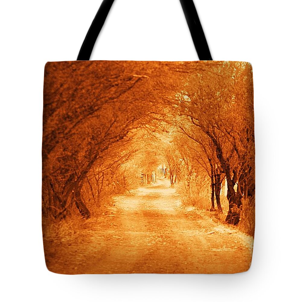 Before Tote Bag featuring the photograph Before Going For A Walk In Sepia by John Kolenberg