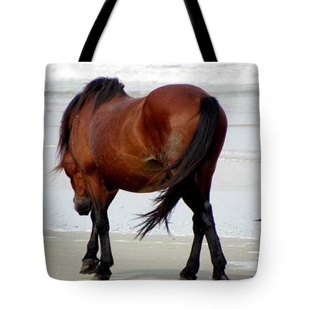Wild Tote Bag featuring the photograph Big Daddy by Kim Galluzzo