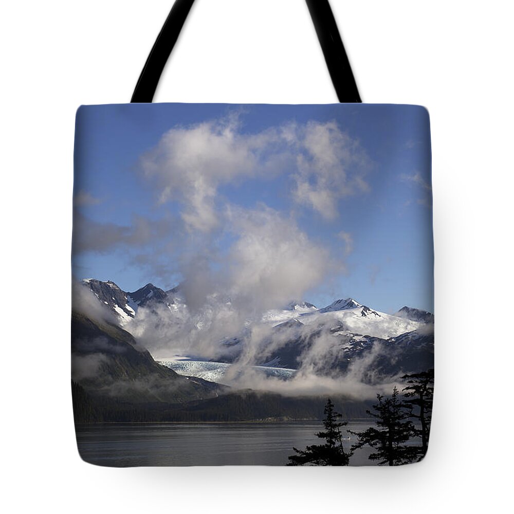 Alaska Tote Bag featuring the photograph Billings Glacier View by Michele Cornelius