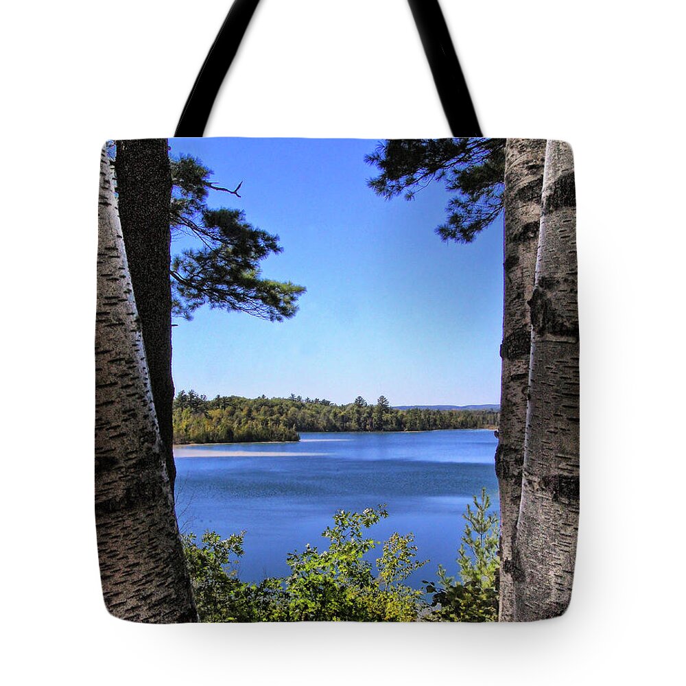 Rifle River Recreaction Area Lake Tote Bag featuring the photograph Birches by the Lake by Peg Runyan