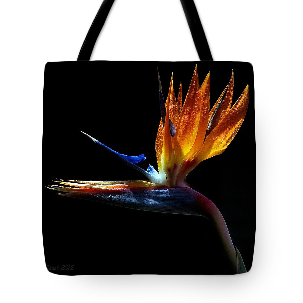 Bird Tote Bag featuring the photograph Bird of Paradise Two Days Later by Farol Tomson