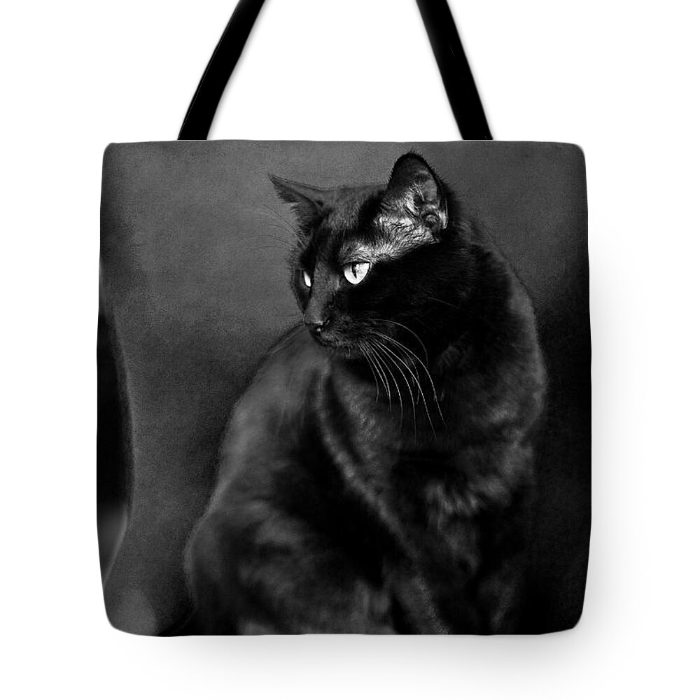 Cat Tote Bag featuring the photograph Black cat by Raffaella Lunelli