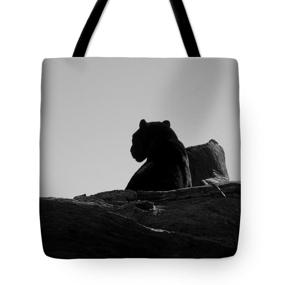 Black Tote Bag featuring the photograph Black Jaguar by Kim Galluzzo Wozniak