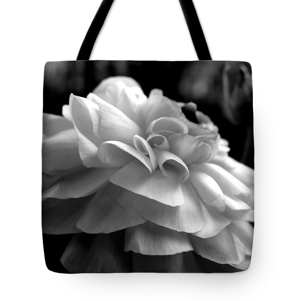 Ranunculus Tote Bag featuring the photograph Black N White Beauty by Kim Galluzzo Wozniak