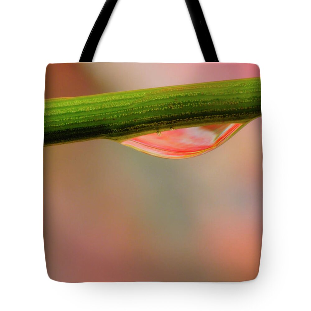 Drop Tote Bag featuring the photograph Blade Drop by Arthur Fix