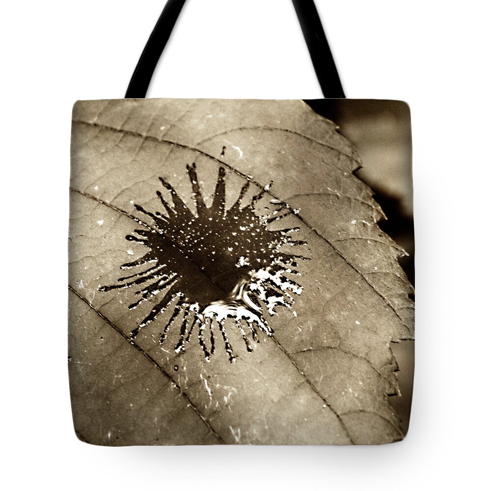 Rural Tote Bag featuring the photograph Bleeding Heart by J C