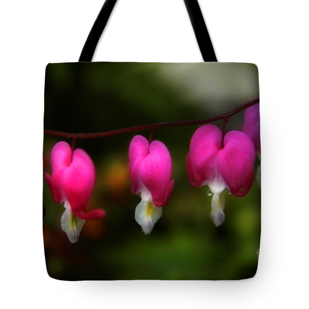 Bleeding Hearts Tote Bag featuring the photograph Bleeding Hearts by Alana Ranney