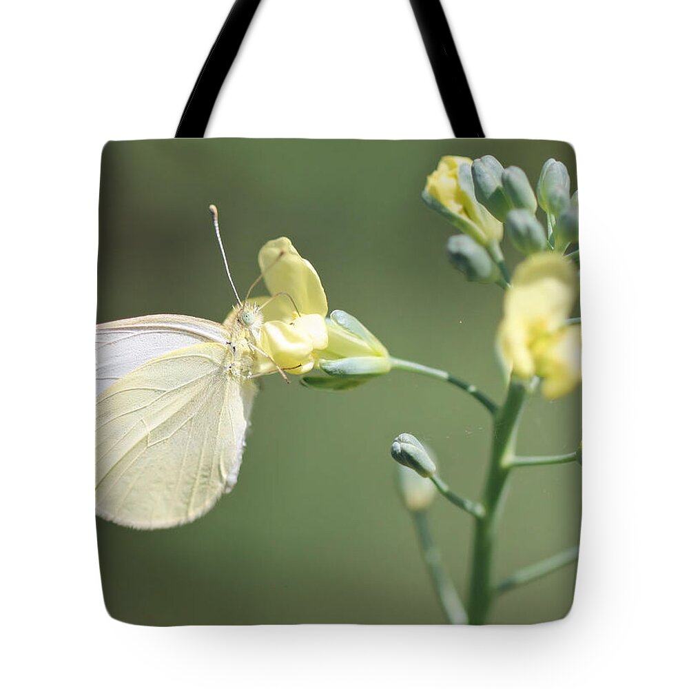 Butterfly Tote Bag featuring the photograph Blending In by Katherine White