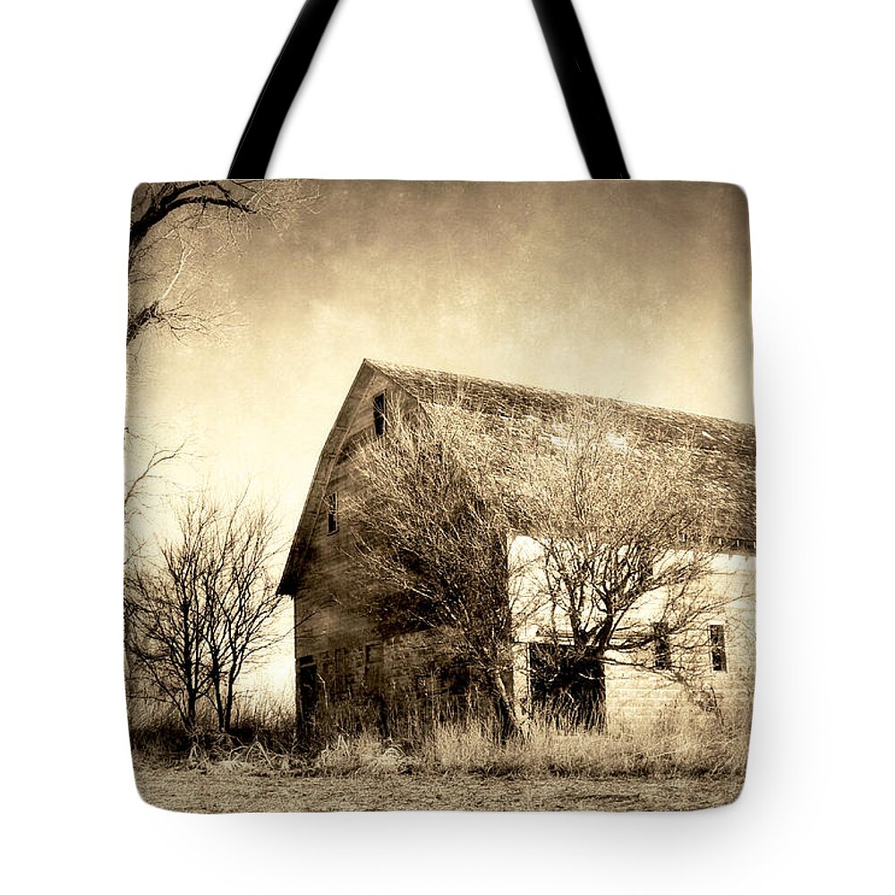 This Is A Wonderful Farm In South Dakota. An Absolutly Perfect Setting Tote Bag featuring the photograph Block Barn by Julie Hamilton