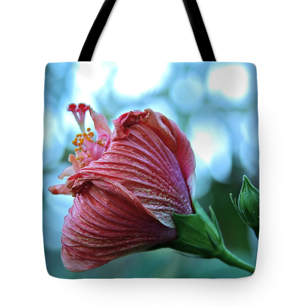 Floral Tote Bag featuring the photograph Blossoming Pink Hibiscus Flower by Karon Melillo DeVega
