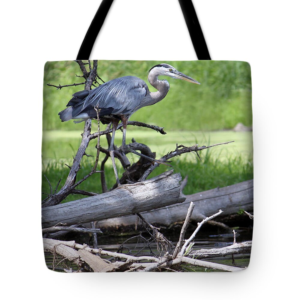 Blue Heron Tote Bag featuring the photograph Blue Heron at the lake by Debbie Hart