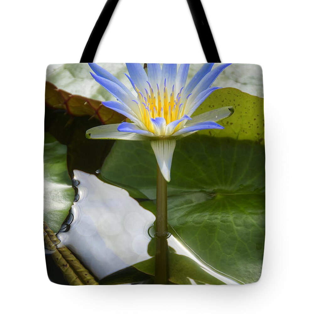 Lotus Tote Bag featuring the photograph Blue Lotus by Wayne Sherriff