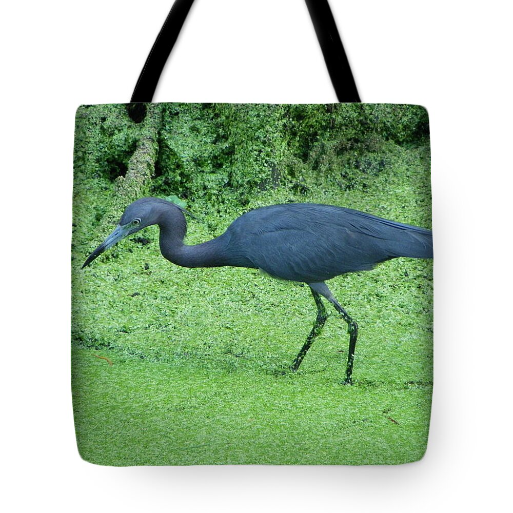 Nature Tote Bag featuring the photograph Blue On Green by Peggy King