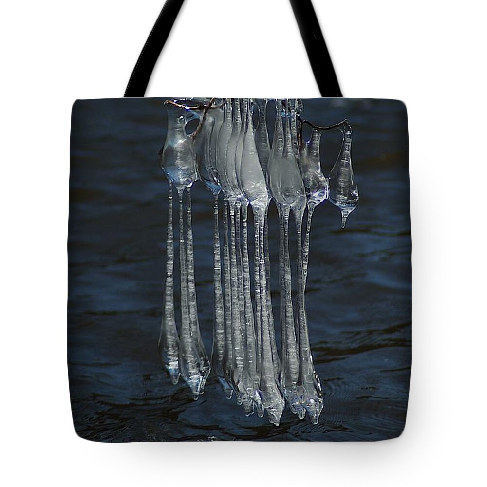Michigan State University Tote Bag featuring the photograph Blue Return by Joseph Yarbrough