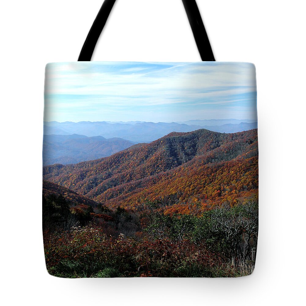  Tote Bag featuring the photograph Blue Ridge Parkway by Douglas Stucky