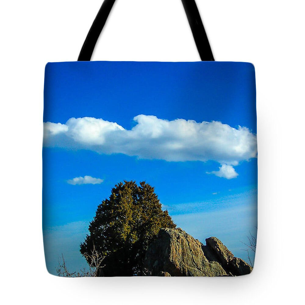 Lanscape Tote Bag featuring the photograph Blue Skies by Shannon Harrington