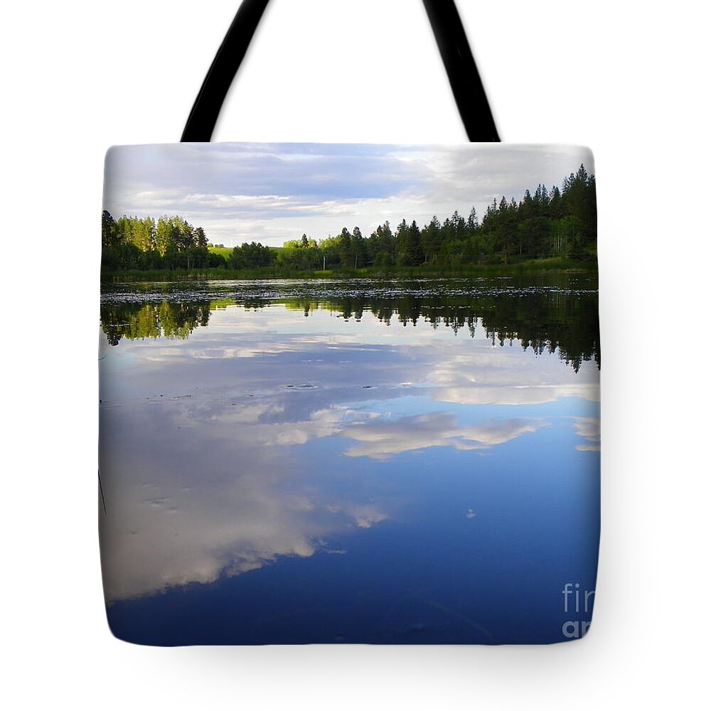 Lake Tote Bag featuring the photograph Borrowed Blue by KD Johnson