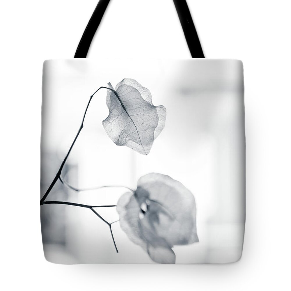 Bougainvillea Tote Bag featuring the photograph Bougainvillea - High-key lighting by Michael Goyberg