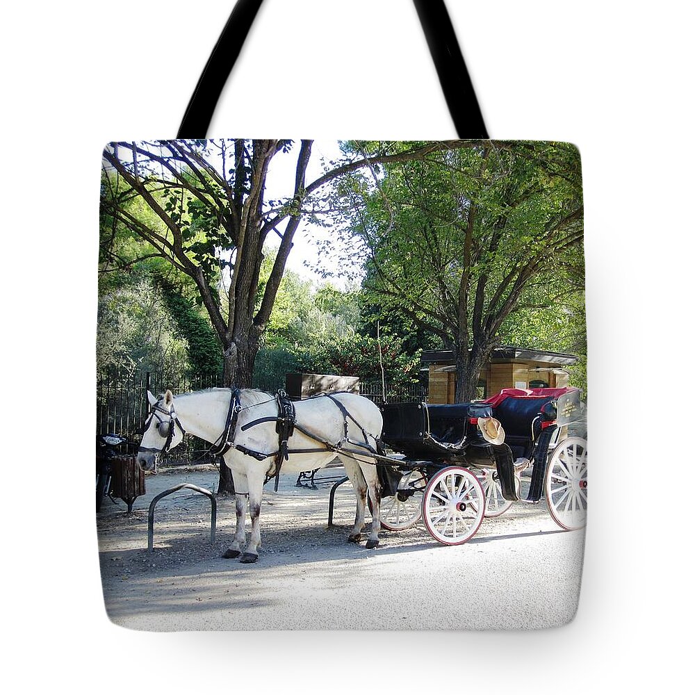 Olympia Tote Bag featuring the photograph Break Time by John Shiron