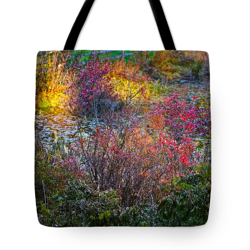 Landscape Tote Bag featuring the photograph Bright Autumn Light by Byron Varvarigos
