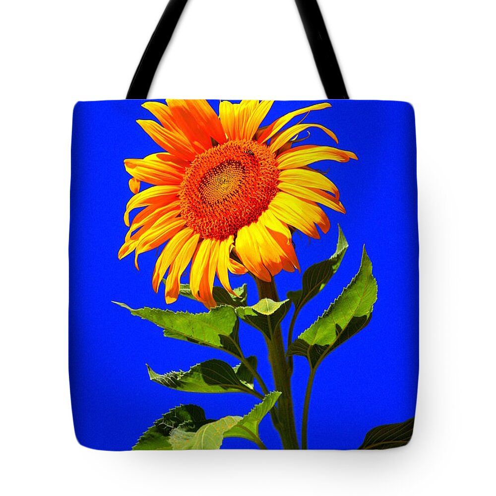 Sun Tote Bag featuring the photograph Bright Sunflower by Patrick Witz