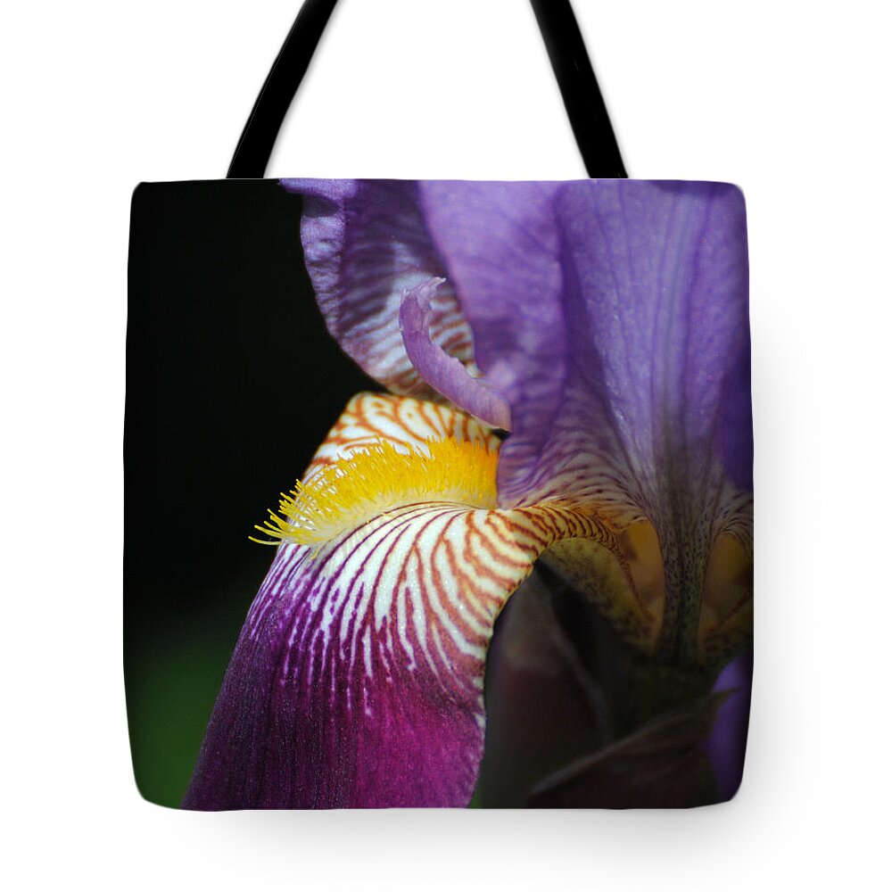 Beautiful Iris Tote Bag featuring the photograph Brilliant Purple Iris Flower III by Jai Johnson