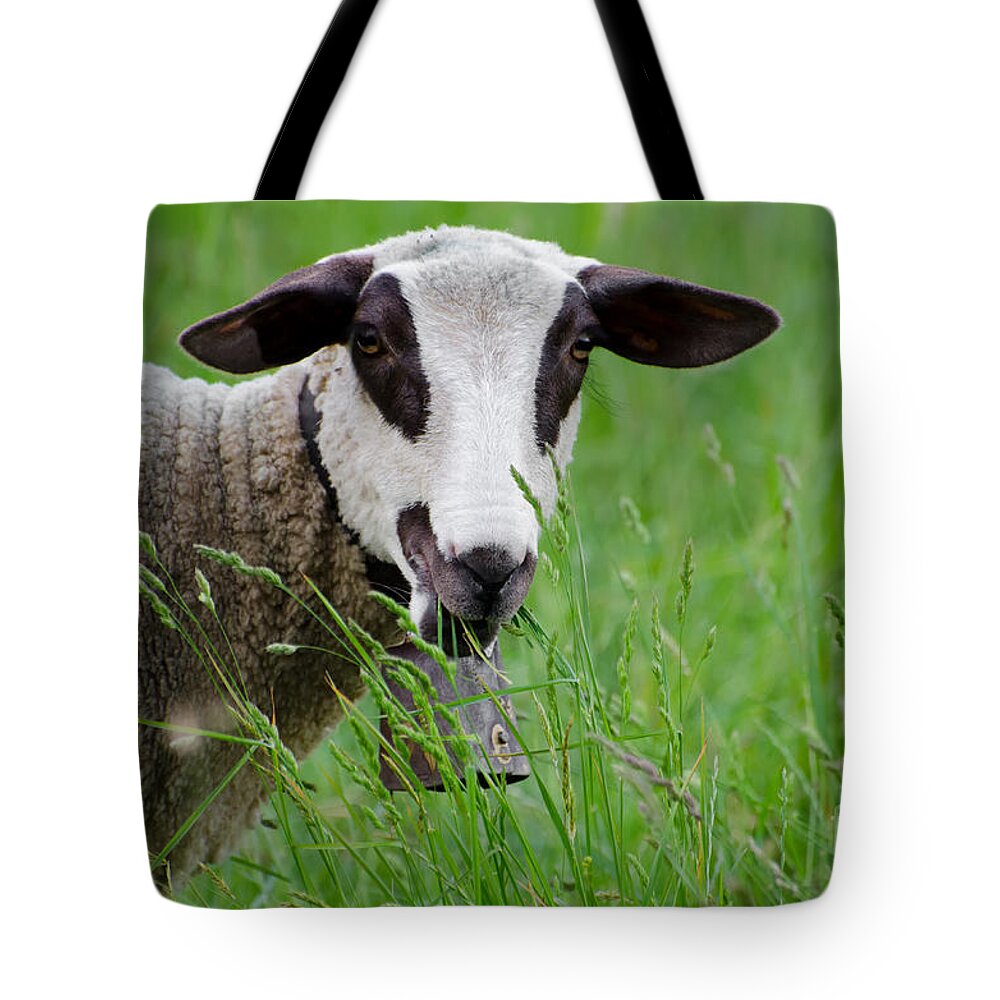 Sheep Tote Bag featuring the photograph Brown and white sheep by Mats Silvan