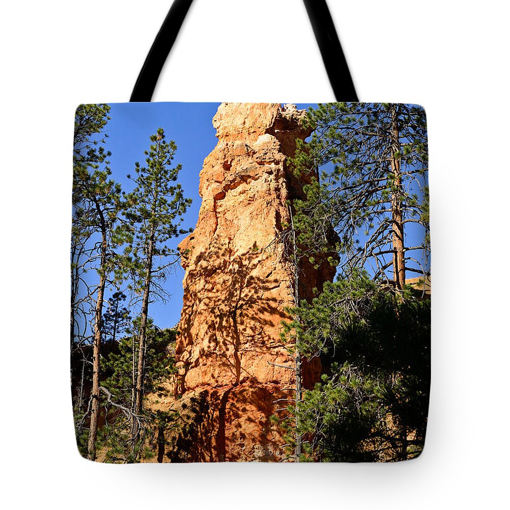 Bryce Canyon National Park Tote Bag featuring the photograph Bryce Canyon Hoodoo by Greg Norrell