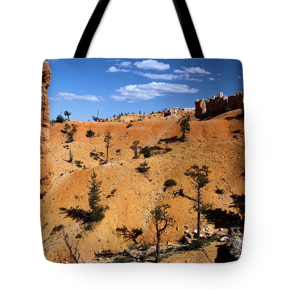 Bryce Canyon National Park Tote Bag featuring the photograph Bryce Guardians by Adam Jewell