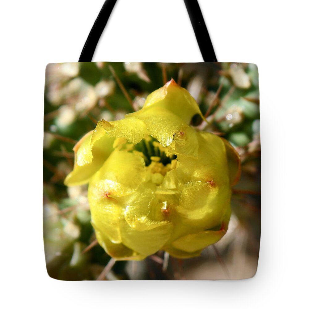 Buchorn Tote Bag featuring the photograph Buchorn Cholla Flower by Kume Bryant