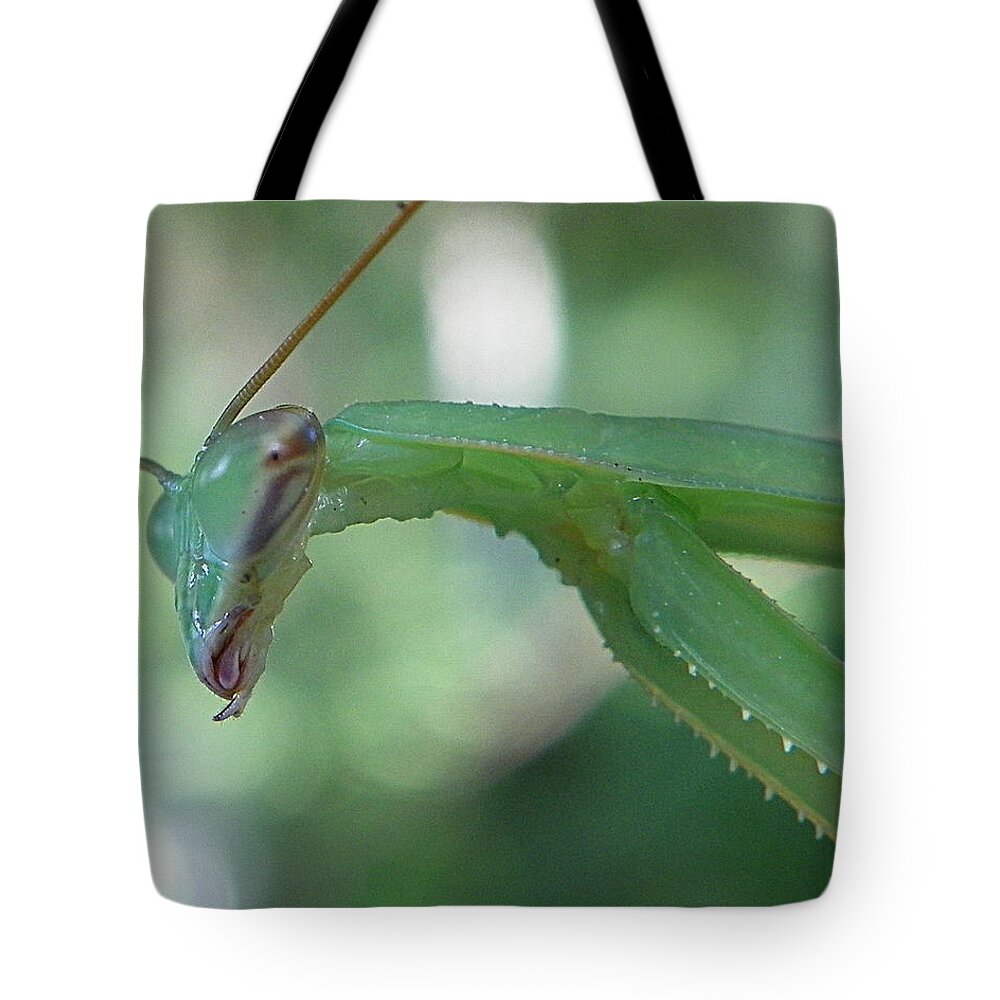 Bug Tote Bag featuring the photograph Bug Eyes by Chad and Stacey Hall