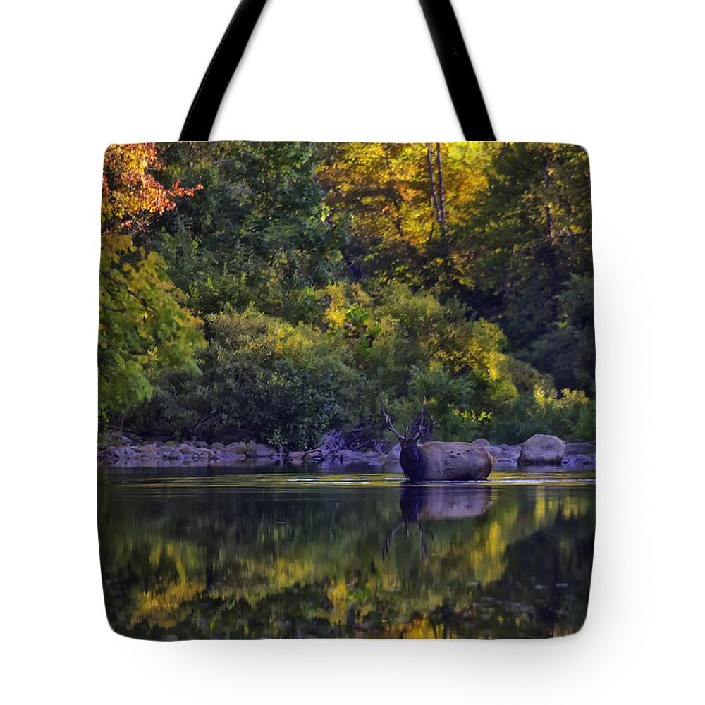 Fall Color Tote Bag featuring the photograph Bull Elk in Reflecting Pool Buffalo National River by Michael Dougherty