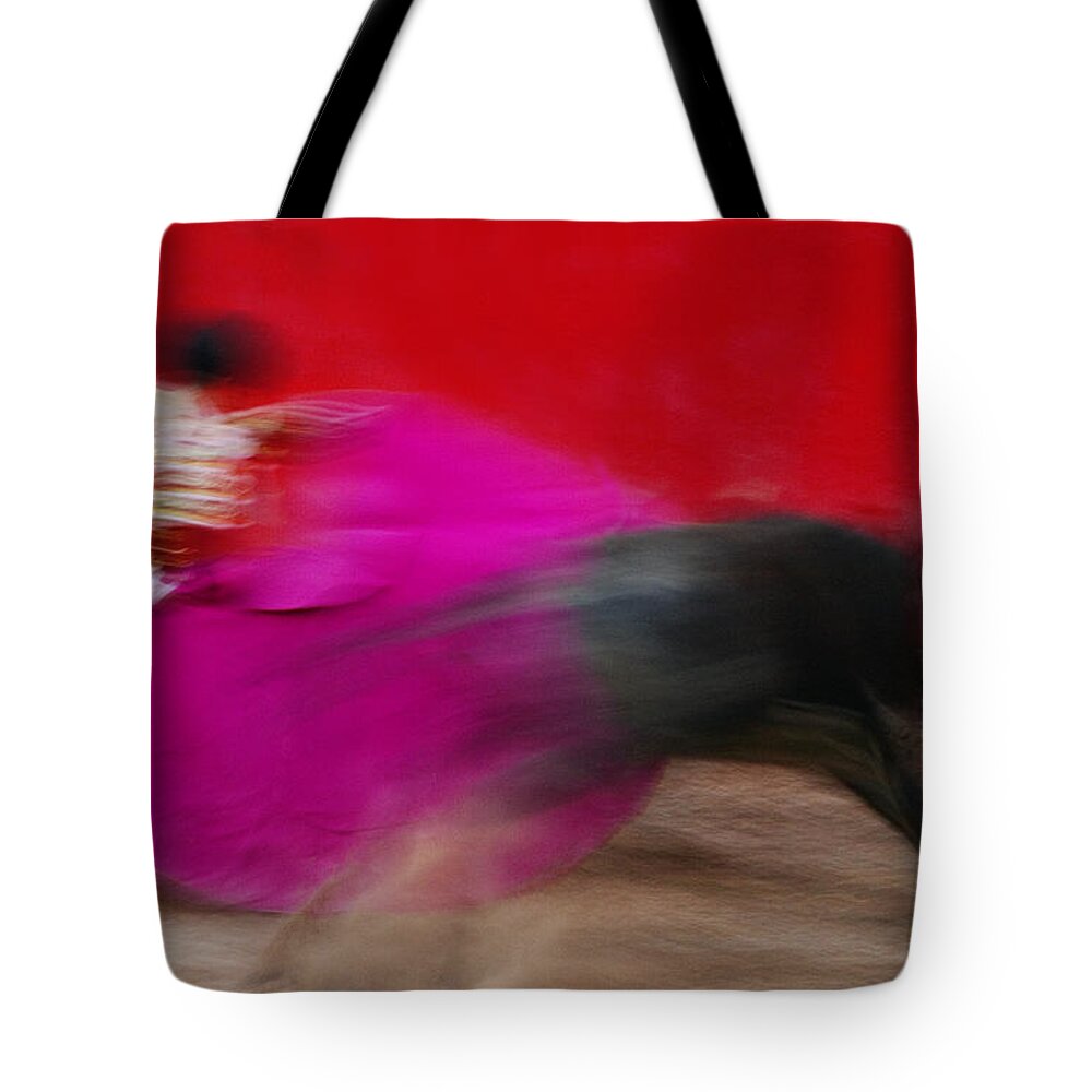 Spanish Tradition Tote Bag featuring the photograph Bull Fighter - Mexico by Craig Lovell