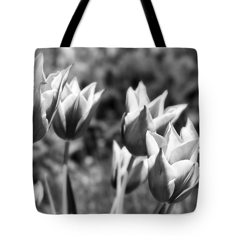 Botanical Tote Bag featuring the photograph Burgundy Yellow Tulips in Black and White by James BO Insogna