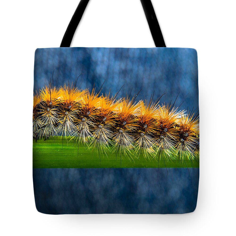 Animal Tote Bag featuring the photograph Butterfly Caterpillar Larva On The Stem by Michael Goyberg