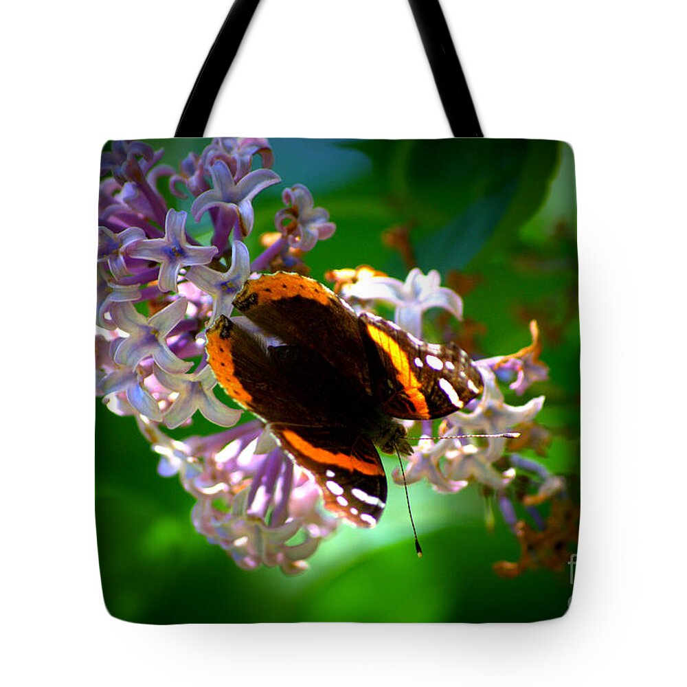 Brown Tote Bag featuring the photograph Butterfly on Lilac by Kevin Fortier