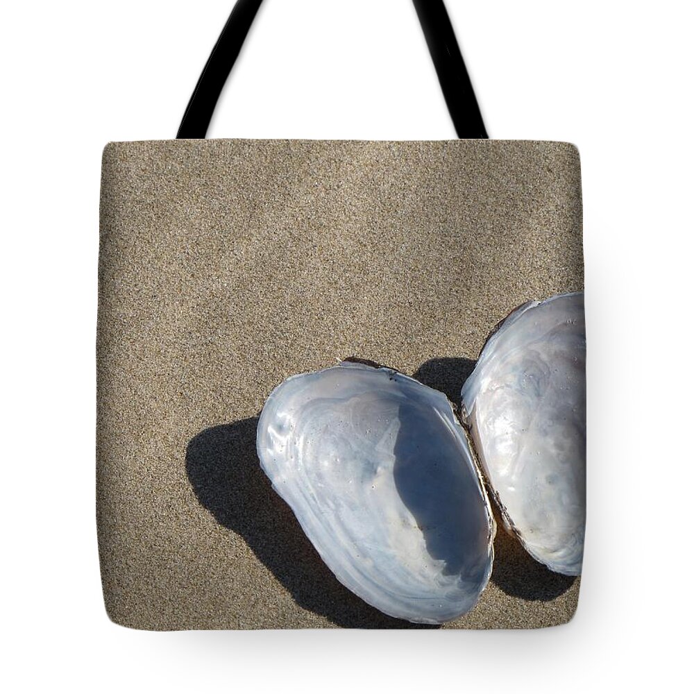 Sand On The Beach Tote Bag featuring the photograph Shells and Shadows by Maciek Froncisz