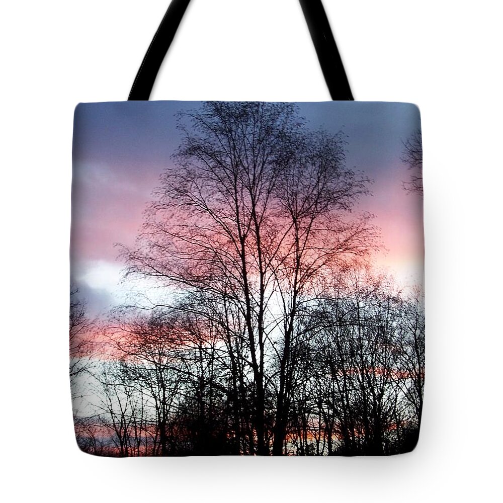 Butterfly Tote Bag featuring the photograph Butterfly Wings Of Pink In The Sky by Kim Galluzzo