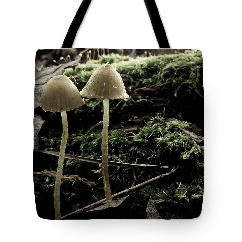Two Tote Bag featuring the photograph By My Side by Jessica Brawley
