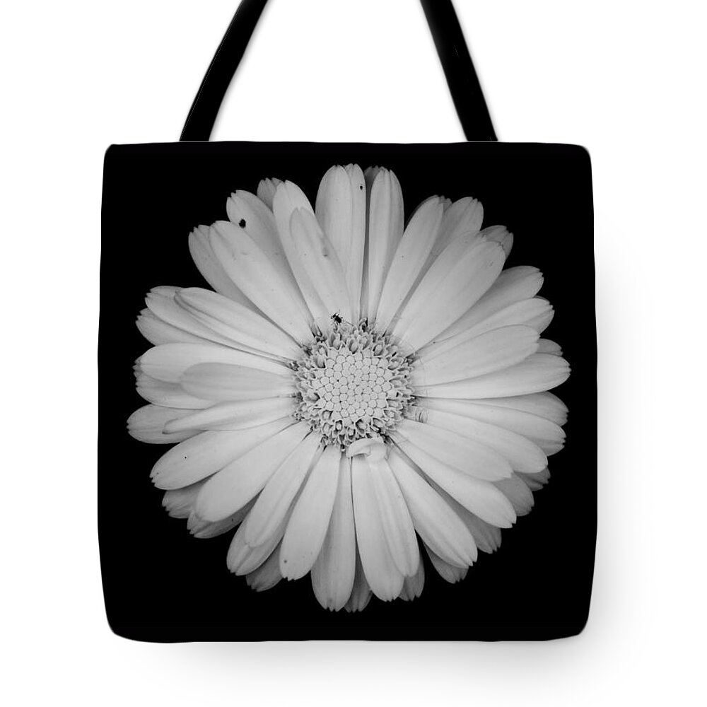 Calendula Tote Bag featuring the photograph Calendula flower - Black and white by Laura Melis
