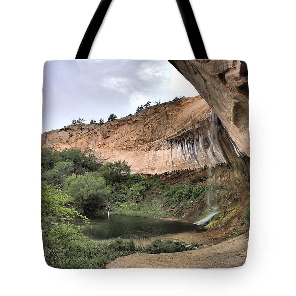 Upper Calf Creek Falls Tote Bag featuring the photograph Calf Creek Demon by Adam Jewell