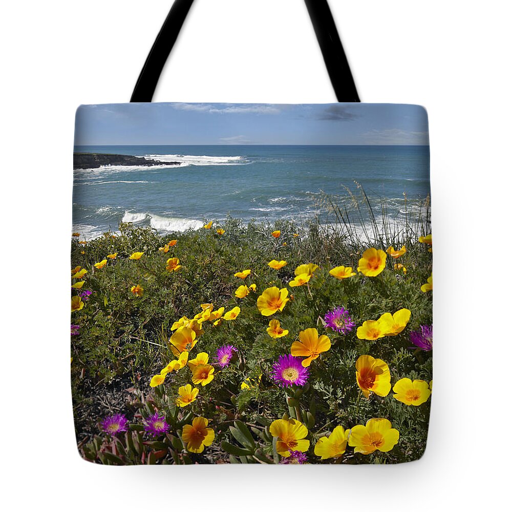 00443044 Tote Bag featuring the photograph California Poppy And Iceplant by Tim Fitzharris