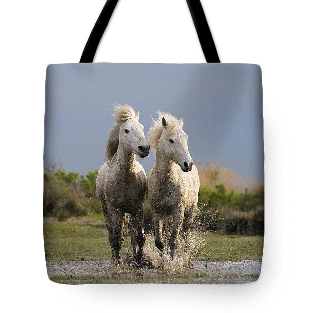 Mp Tote Bag featuring the photograph Camargue Horse Equus Caballus Pair by Konrad Wothe