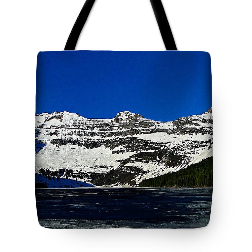Waterton Lakes National Park Tote Bag featuring the photograph Cameron Lake by Blair Wainman