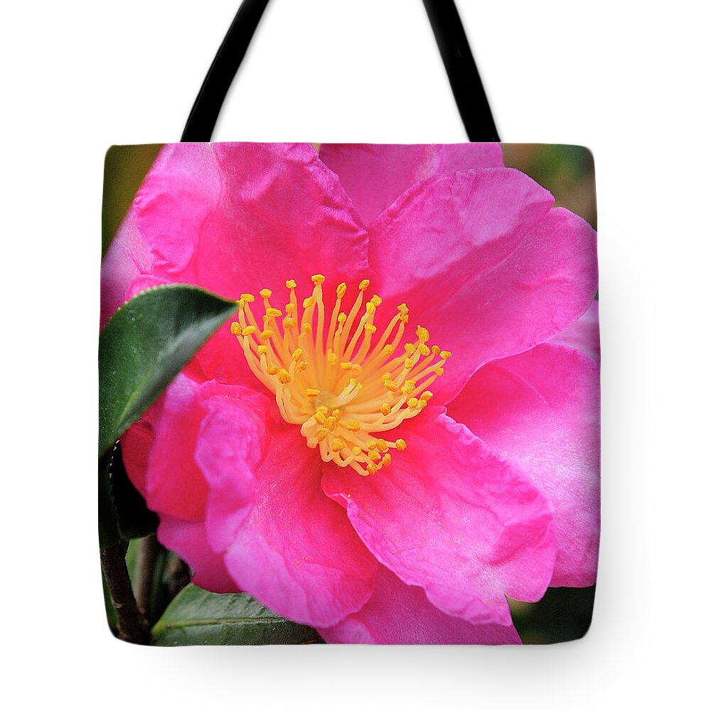 Flower Tote Bag featuring the photograph Camillia by Bill Dodsworth