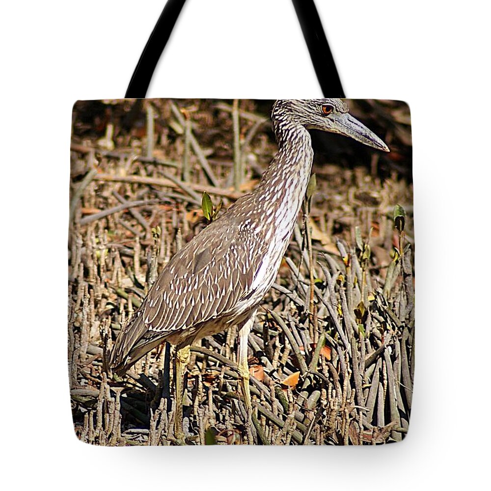 Heron Tote Bag featuring the photograph Camoflage by Joe Faherty