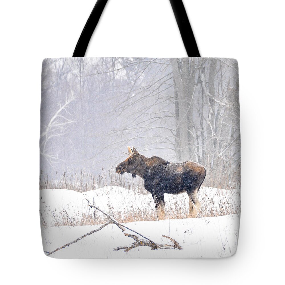 Moose Tote Bag featuring the photograph Canadian Winter by Cheryl Baxter