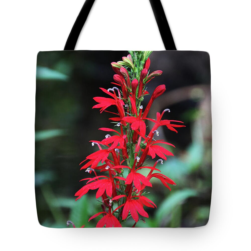 Cardinal Flower Tote Bag featuring the photograph Cardinal Flower by Barbara Bowen