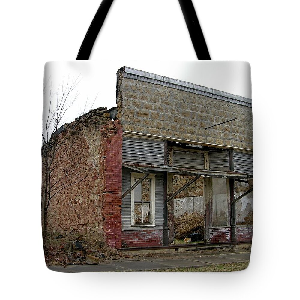 Abandoned Tote Bag featuring the photograph Cat in Elk Falls by Keith Stokes