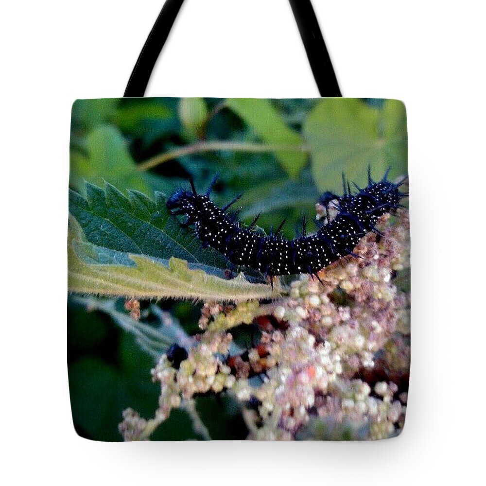Caterpillar Tote Bag featuring the photograph #caterpillar #instaprints by Abbie Shores